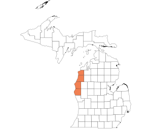 Western Michigan