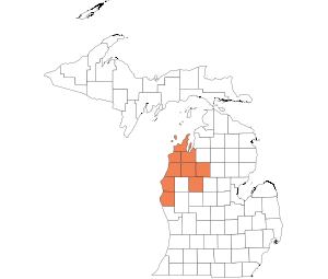 Western Michigan (No Reserve)
