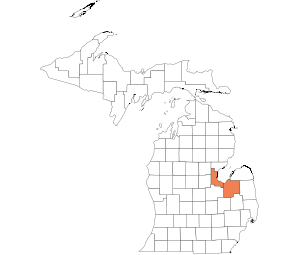 Bay/Tuscola