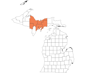 Central UP