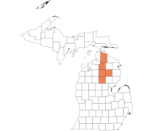 North Central LP
