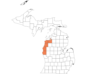 West Central Lakeshore