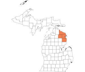 North Eastern Lower Peninsula