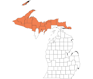 Eastern Upper Peninsula