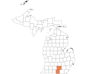 Hillsdale, Jackson