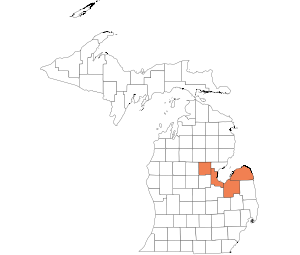 Bay, Gladwin, Huron DNR, Tuscola