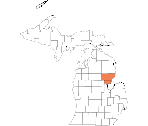 Arenac, Iosco, Ogemaw