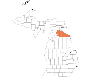 Cheboygan, Emmet, Presque Isle