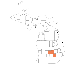 Clinton, Livingston, Shiawassee