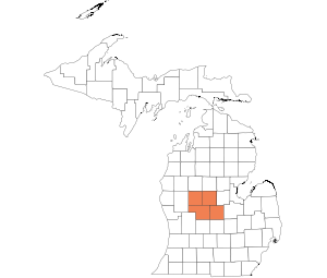 Gratiot, Isabella, Mecosta, Montcalm