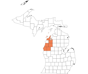 North Western Lower Peninsula
