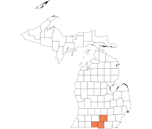 Branch, Hillsdale, Jackson