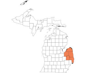 The Thumb Area