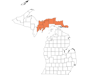 Eastern Upper Peninsula