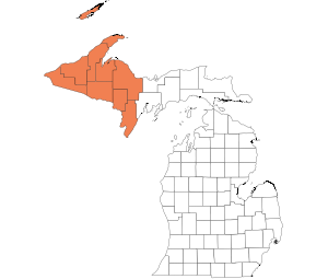 Western Upper Peninsula