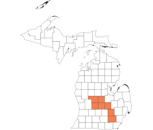 Southern Central Lower Peninsula
