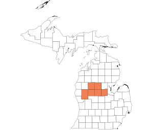 Central Lower Peninsula