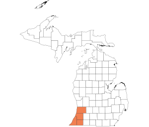 Allegan, Berrien, Cass, Van Buren