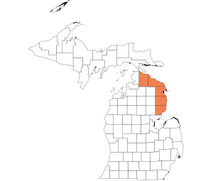 North Eastern Lower Peninsula