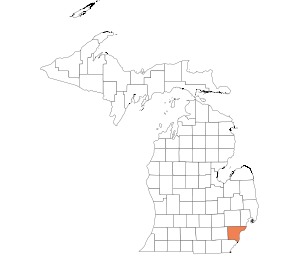 Wayne County Special Auction