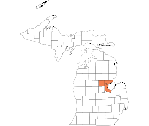Arenac, Bay, Gladwin
