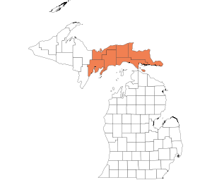 Eastern Upper Peninsula